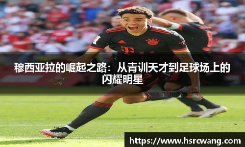 oety欧亿体育官网